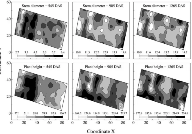 Figure  4. Spatial distribution maps of stem diameter (cm) and plant height (cm) at 545, 905 and 1265 days after sowing  (DAS) of a jatropha plantation grown in Northeast semiarid.
