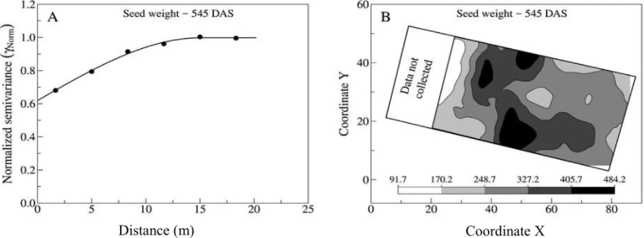 Figure  5. Adjusted semivariograms and spatial distribution map of seed weight (g) at 545 days after sowing (DAS) of a  jatropha plantation grown in the Northeast semiarid