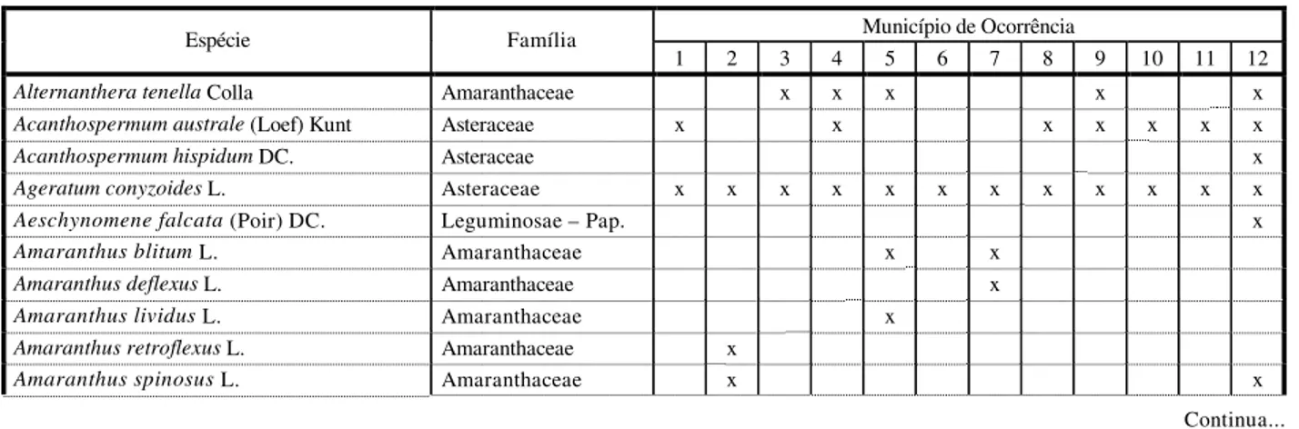 Tabela 1 -  Relação das plantas invasoras encontradas na cultura de milho, nas várzeas do Rio São Francisco, nos seguintes  municípios: Vargem Bonita (1), Piumhi (2), Doresópolis (3), Bambuí (4), Iguatama (5), Lagoa da Prata (6), Luz (7), Dores  do Indaiá 