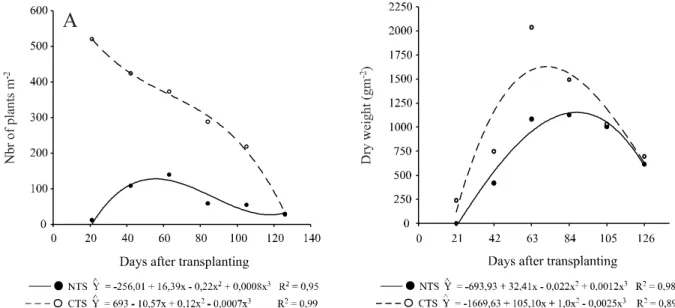 Figure 3 - Maximum (A) and minimum (B) daily soil temperatures during the crop cycle of the green pepper as a function of weed-management strategies and soil cover under no-tillage (NTS) and conventional tillage (CTS) systems