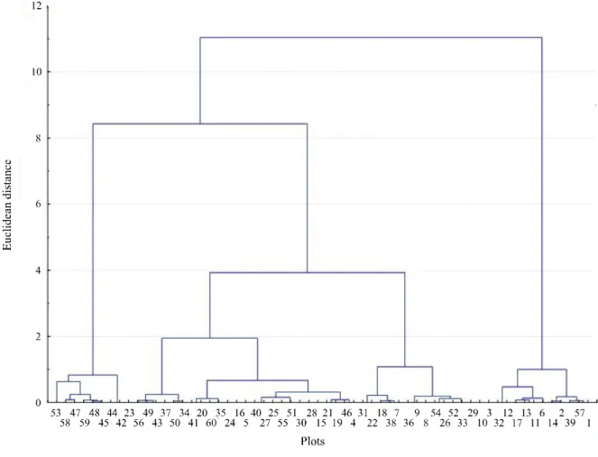 Figure 2 - Dendrogram of the cluster analysis of leaf N content values at stage V4 at 13 DAE