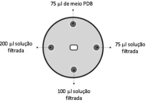 Figura 6. Representação esquemática do teste de compostos não voláteis. 