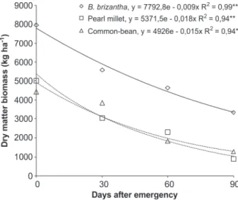 Figure 1. Decomposition of Brachiaria brizantha, pearl millet and common bean straw mulches as a function of days after soybean planting.