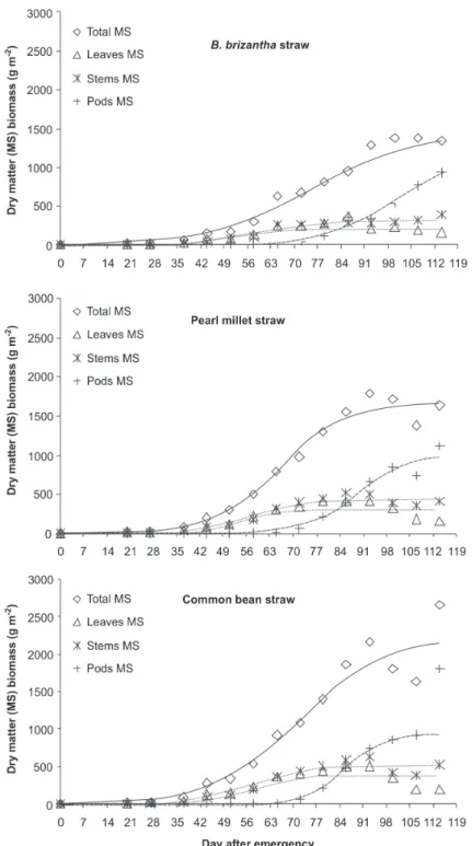 Figure 2. Production of dry matter of whole plant, leaves, stems and pods of soybean grown on Brachiaria brizantha, pearl millet and common bean straw mulches.