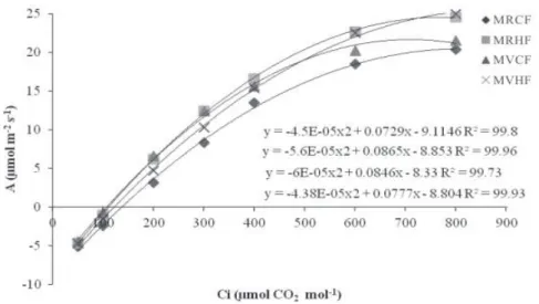 Figure 4. Net CO 2  leaf assimilation rate (A) according to internal CO 2  concentration (Ci), in two lettuce cultivars, Mimosa Verde, in conventional (MVCF) and hydroponic farming system (MVHF) and, Mimosa Roxa, in conventional (MRCF) and hydroponic farmi