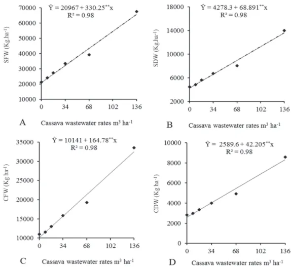 Figure 2: Capitulum diameter of sunflower (Helianthus annuus) grown under different cassava wastewater rates.