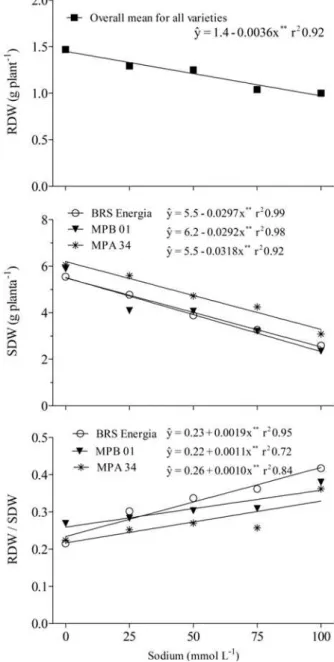 Figure  3. Root dry weight (RDW), shoot dry weight (SDW) and the RDW/SDW ratio for different castor bean varieties  grown in nutrient solution with different salinity levels