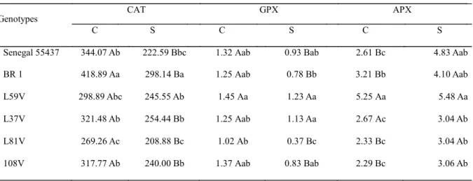 Table  3  shows  the  means  of  antioxidative  enzymes  obtained  from  peanut  genotypes  after  15  days  of  water  suppression