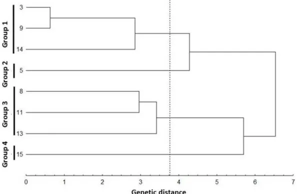Figure  1. Dendrogram developed from quantitative data with the generalized Mahalanobis distance and by the UPGMA  clustering method for the eight J