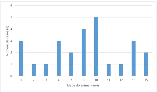 Figura 12 – Gráfico de barras relativo à distribuição de idade dos animais na amostra