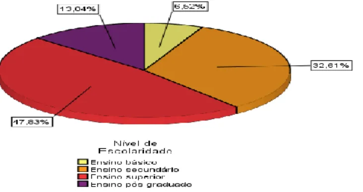 Figura 18 – Representação gráfica do nível de escolaridade das participantes 