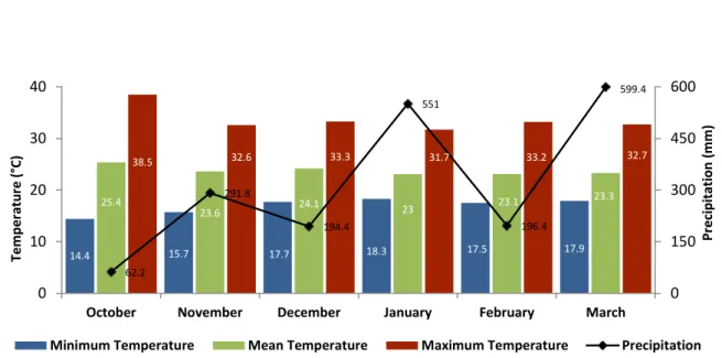 Figure  1.  Mean  monthly  precipitation  (mm)  and  temperature  (°C)  during  the  experimental  period  (October  2012 to March 2013)