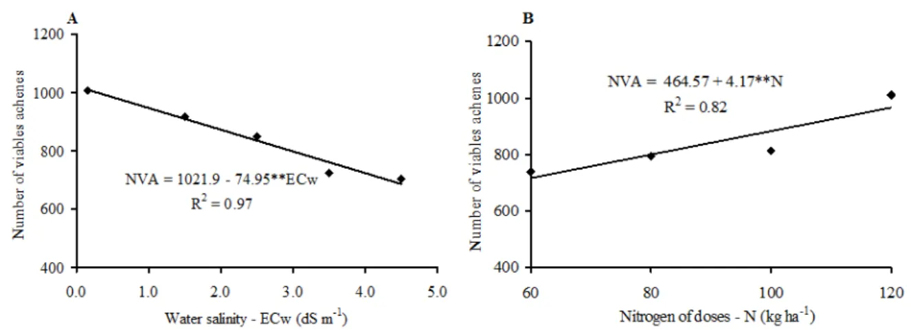 Figure  2. Number of viable achenes in sunflower cv. „Embrapa 122 - V2000‟ as a function of irrigation water salinity (A)  and nitrogen fertilisation (B)