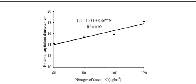 Figure  3.  External  capitulum  diameter  (DCAP)  of  sunflower  cv.  „Embrapa  122 - V2000‟  as  a  function  of  nitrogen             fertilisation.
