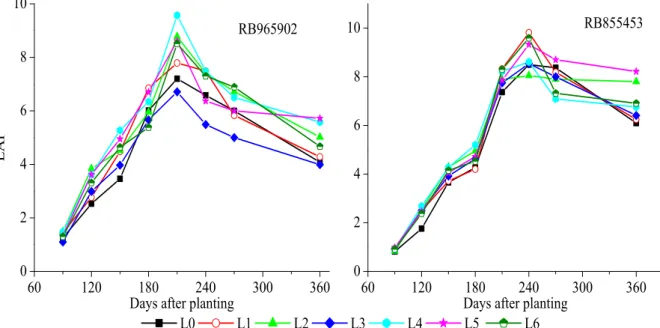 Figure  3  shows  the  LAI  values  of  the  two  sugarcane  varieties  subjected  to  the  different        irrigation levels