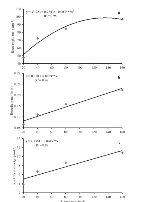 Figure 2. Length (a), diameter (b), and root dry matter (c) of upland rice as affected by increasing K levels