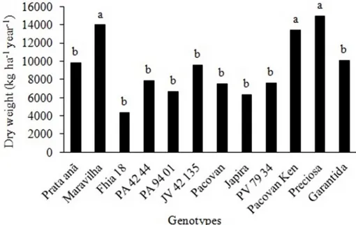 Figure 2. Litterfall dry weight of banana genotypes. 