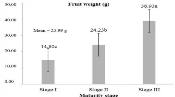 Figure  6.  Fruit  weight  (g)  of  the  ‘Roxo  de  Valinhos’  fig  cultivar,  at  three  maturity  stages