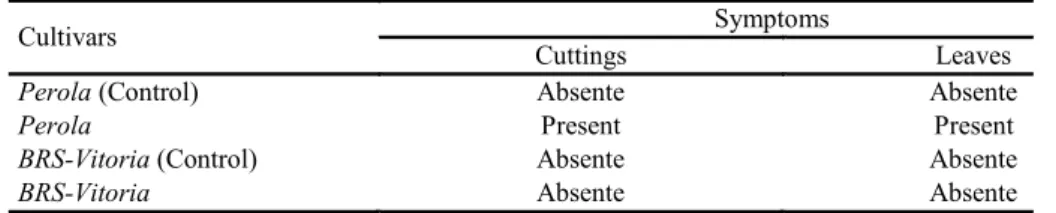 Table 3. Incidence of symptoms caused by the Fusarium guttiforme fungus in cuttings and detached D leaves of susceptible  (Pérola) and resistant (BRS - Vitória) cultivars of pineapple.