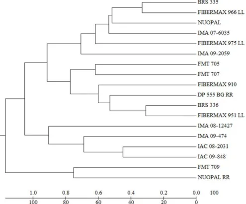 Figure 3. Dendrogram of the dissimilarity patterns established by the unweighted pair group method with arithmetic mean  (UPGMA),  using  quantitative  data  of  18  cotton  genotypes  sowed  in  the  main  season  and  off  season