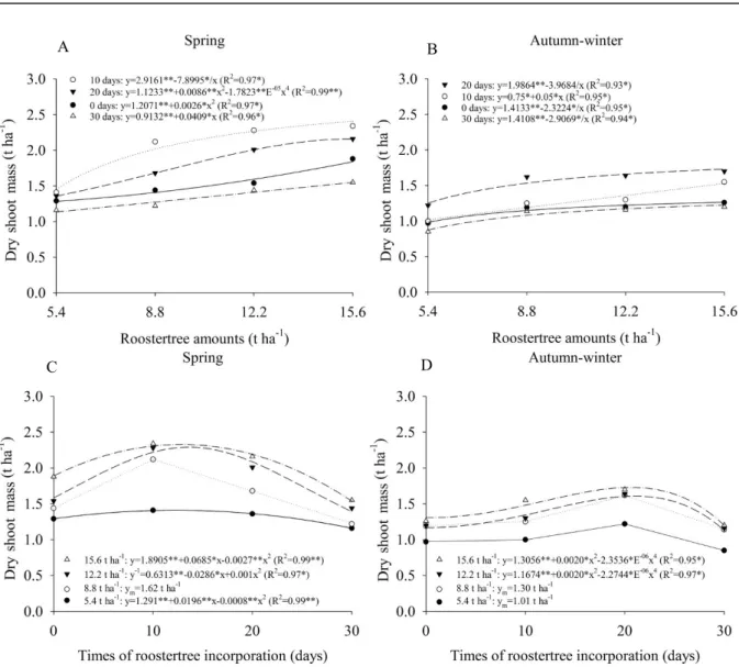 Figure 6. Dry shoot mass of lettuce as a function of the interaction between roostertree biomass and incorporation times of  green  manure  (A
