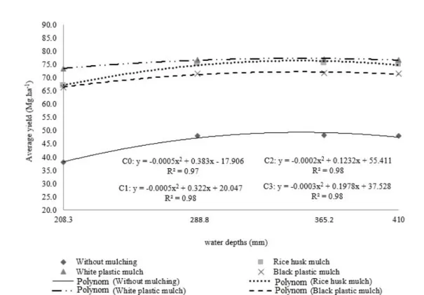 Figure 3. Effects of water depths and mulches on the fruit average yield (AY) during the first watermelon crop cycle