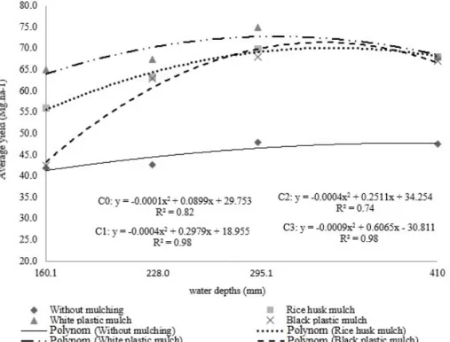Figure 6. Effects of water depths and mulches on the fruit average yield (AY) during the second watermelon crop cycle