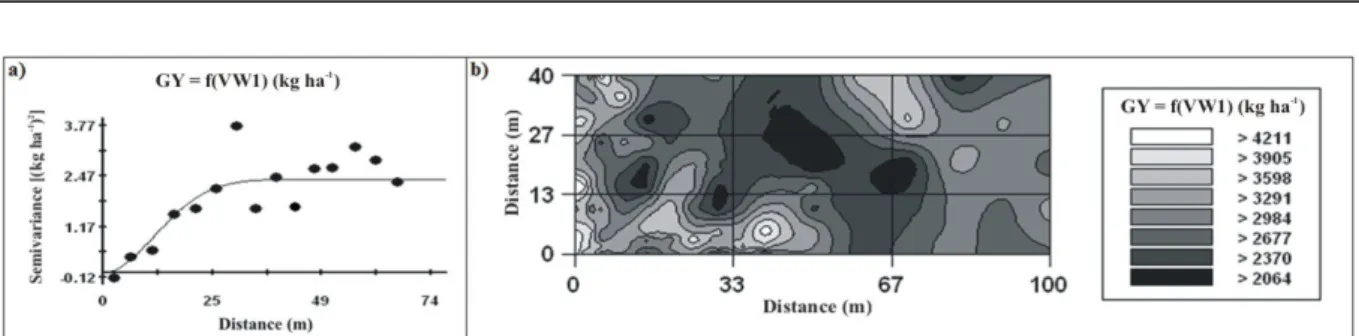 Figure 1. Semivariogram (a) and cokriging map (b) of grain yield (GY) as function of volumetric water content (VW1) in  an Oxisol Haplorthox.