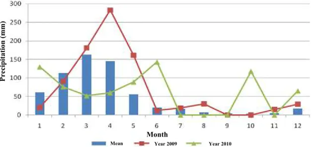 Figure 3. Precipitation observed in the area of the Sub - basin of the Cobras river in 2009 and 2010.