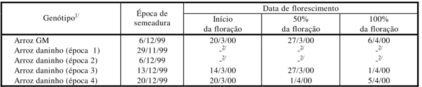Tabela 1 - Épocas de semeadura e datas de florescimento das parcelas com arroz GM e arroz daninho estabelecidas no campo  na safra 1999/2000, Rio Grande-RS 
