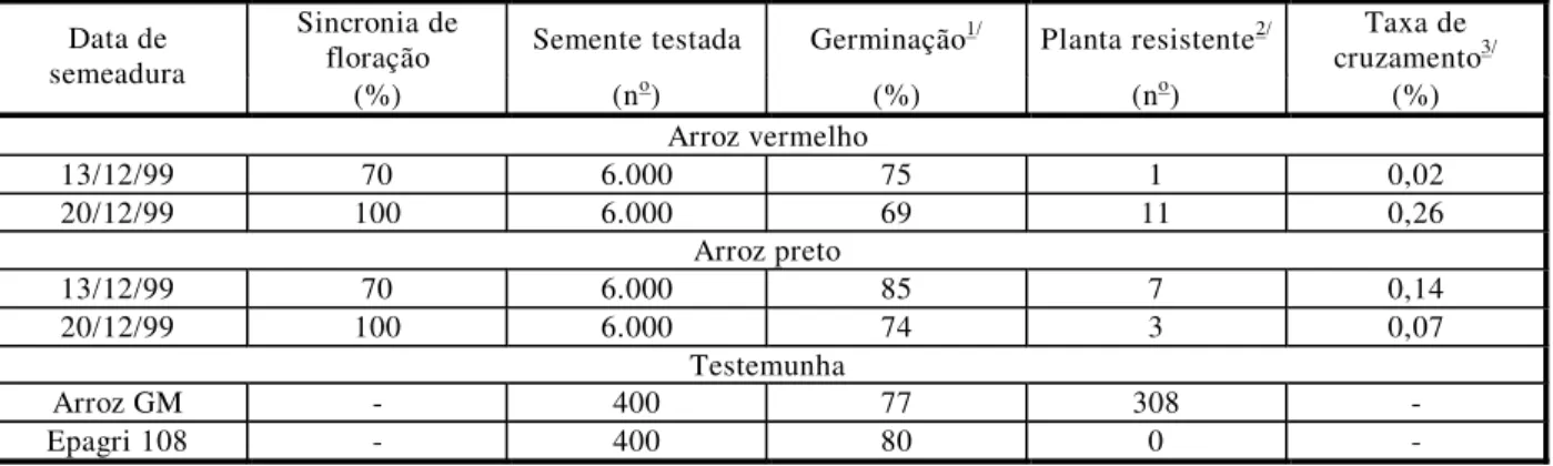 Tabela 3   - Taxa de cruzamento natural, entre o arroz GM como doador de pólen e o arroz vermelho ou arroz preto como  receptores femininos, estimada através do teste de sobrevivência das sementes em solução com o herbicida glufosinato