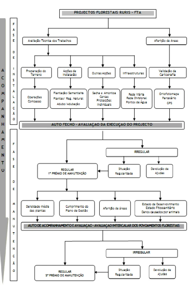 Figura 2 - Esquema síntese da implementação do programa “RURIS – Florestação de Terras Agrícolas” 