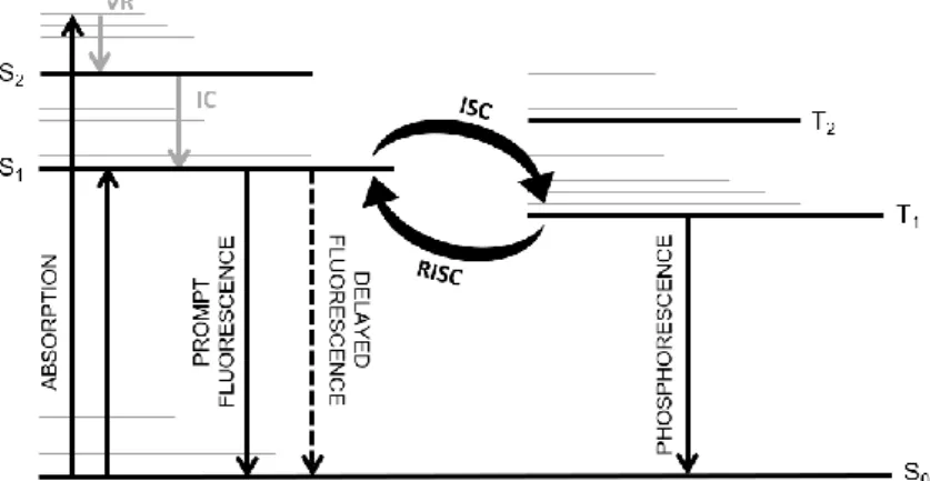 Figure  1. Jablonski diagram. Adapted from [24] and [29]. VR, vibrational relaxation; IC, Internal Conversion; ISC,  Intersystem Crossing; RISC, Reverse Intersystem Crossing