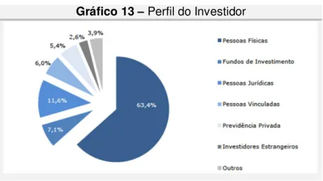 Gráfico 13 – Perfil do Investidor  