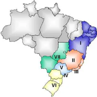 Figura 01 – Áreas Nielsen no território nacional 