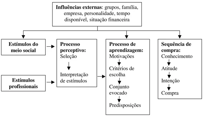 Figura 03 - O consumo entendido como um processo em etapas 