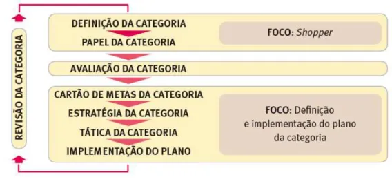 Figura 04 – Modelo de gerenciamento de categoria 