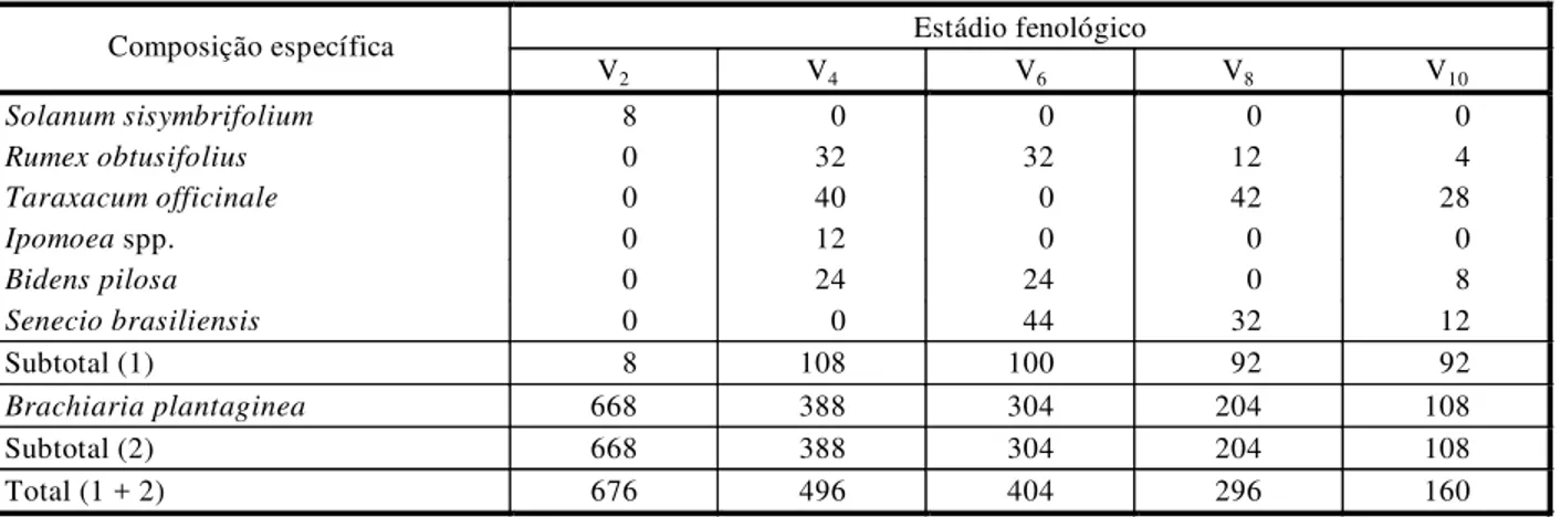 Figura 4 - Acúmulo de biomassa seca do milho (seis plantas) ao final dos diferentes períodos de controle inicial e convivência inicial