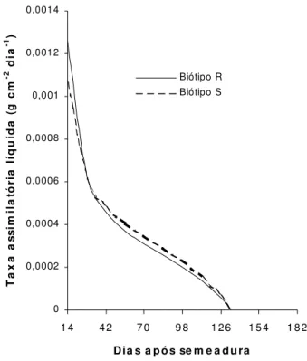 Figura 4 - Taxa  assimilatória   líquida  de  plantas   de amendoim-bravo, em função do tempo.