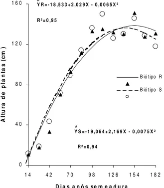 Figura 11 - Altura de plantas de amendoim-bravo, em  função do tempo.01234567891 4 4 2 7 0 9 8 1 2 6 1 5 4 1 8 2Dia s  a p ó s  se m e a d u raMatéria seca de folhas (g planta-1)