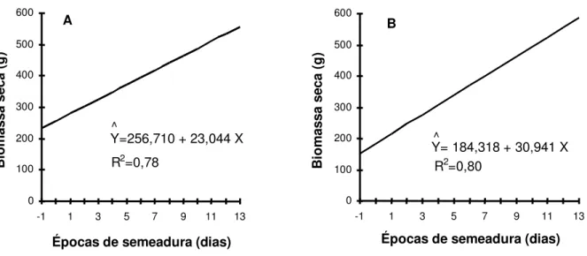 Figura 1 - Biomassa seca  de  plantas de  girassol  em  função  das  épocas  de  semeadura da cultura, em relação à aplicação das doses de 536 (A) e 1.005 g e.a