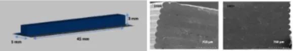 Figure  1:  left:  CAD  design  of  parallelepipeds;  right:  SEM  microstructure  of  100Al  and  100Zr  samples  obtained  by  robocasting