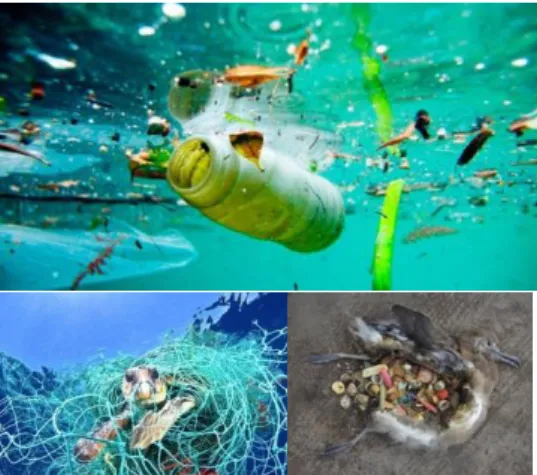 Figure 3  –  Ocean pollution and its impacts 