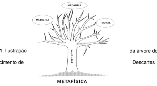 Figura 1. Ilustração  da árvore do 