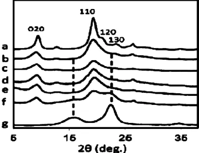 Figura 6 - Perfis de Difração de Raios X de quitina: (a) Amostra comercial, (b) Pleurotus, (c) Agaricus  bisporus, (d) Lentinula edodes, (e) Grifola frondosa, (f) Hypsizygus marmoreus, (g) quitina comercial 