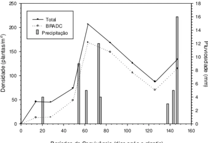 Figura 1 - Densidade da comunidade infestante e do capim- capim-braquiária (BRADC) ao final dos períodos de convivência com a cana-de-açúcar e dados de pluviosidade observados durante os períodos