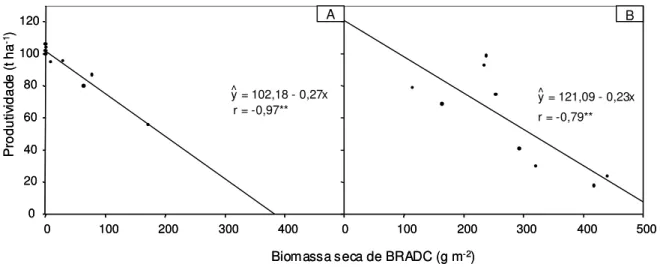 Figura 5 - Estimativa da produtividade de colmos de cana-de-açúcar, para os períodos crescentes de convivência (A) e controle (B), em função da biomassa seca acumulada pelo capim-braquiária (BRADC)