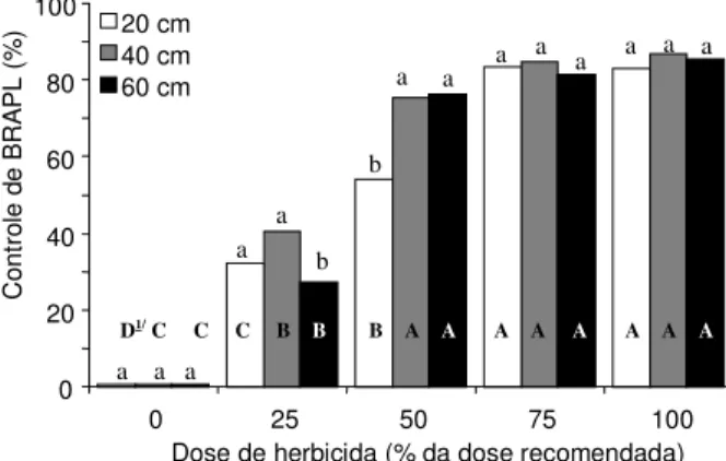 Figura 1 - Controle de Brachiaria plantaginea (BRAPL) aos 8 dias após tratamentos, em função de doses de herbicidas e espaçamentos entre linhas de soja