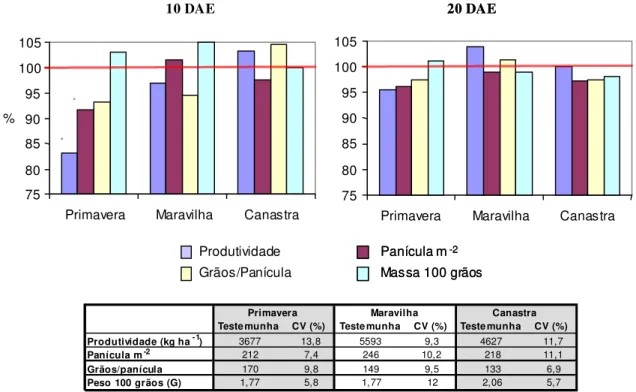 Figura 1 - Produtividade percentual e componentes de rendimento dos cultivares Primavera, Maravilha e Canastra em função de aplicação do herbicida metsulfuron-methyl aos 10 e 20 DAE