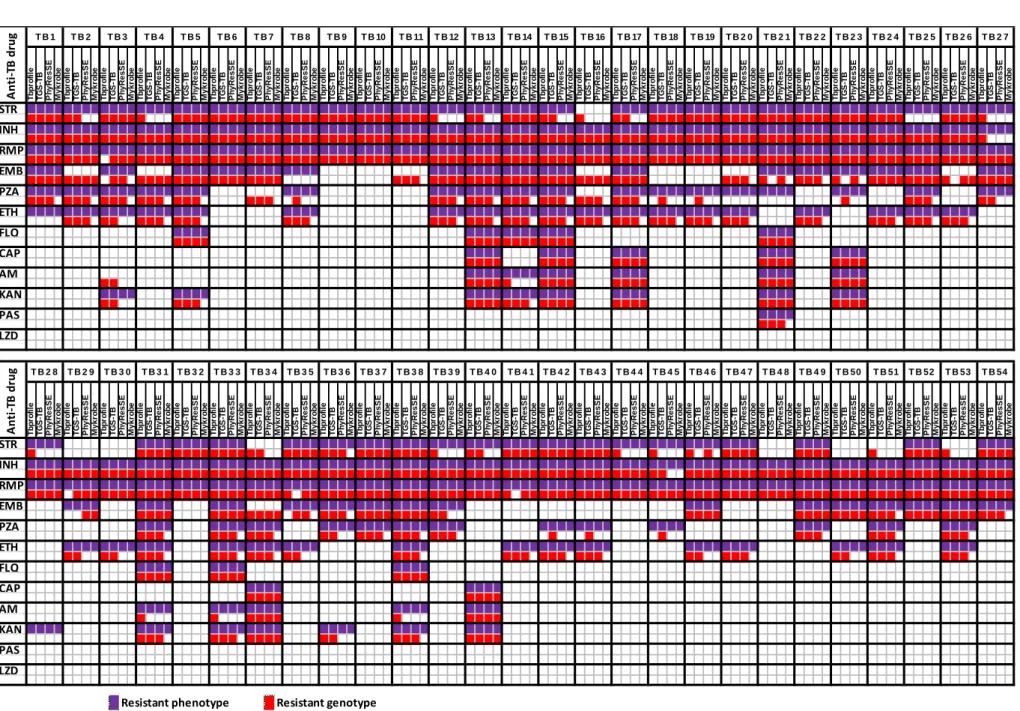 Figure 2.1. Overview of the agreement between phenotypes and genotypes predicted by the four platforms under evaluation
